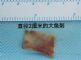 男子吞了一根鱼刺，反而救了他一命！这个故事有点离奇……