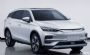 NEDC续航里程635km 新款唐EV双电机版申报图