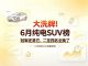 6月纯电SUV销量榜：冠军还是它，二至四名全换血